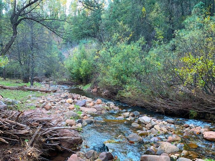 Camper submitted image from Upper Tonto Creek — Tonto National Forest - 1