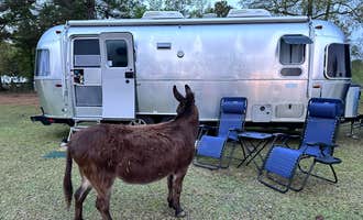 Camping near New Green Acres RV Park: Herd it Here Farm, Round O, South Carolina