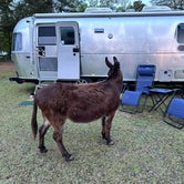 Review photo of Herd it Here Farm by Eleanor the Airstream R., April 4, 2024