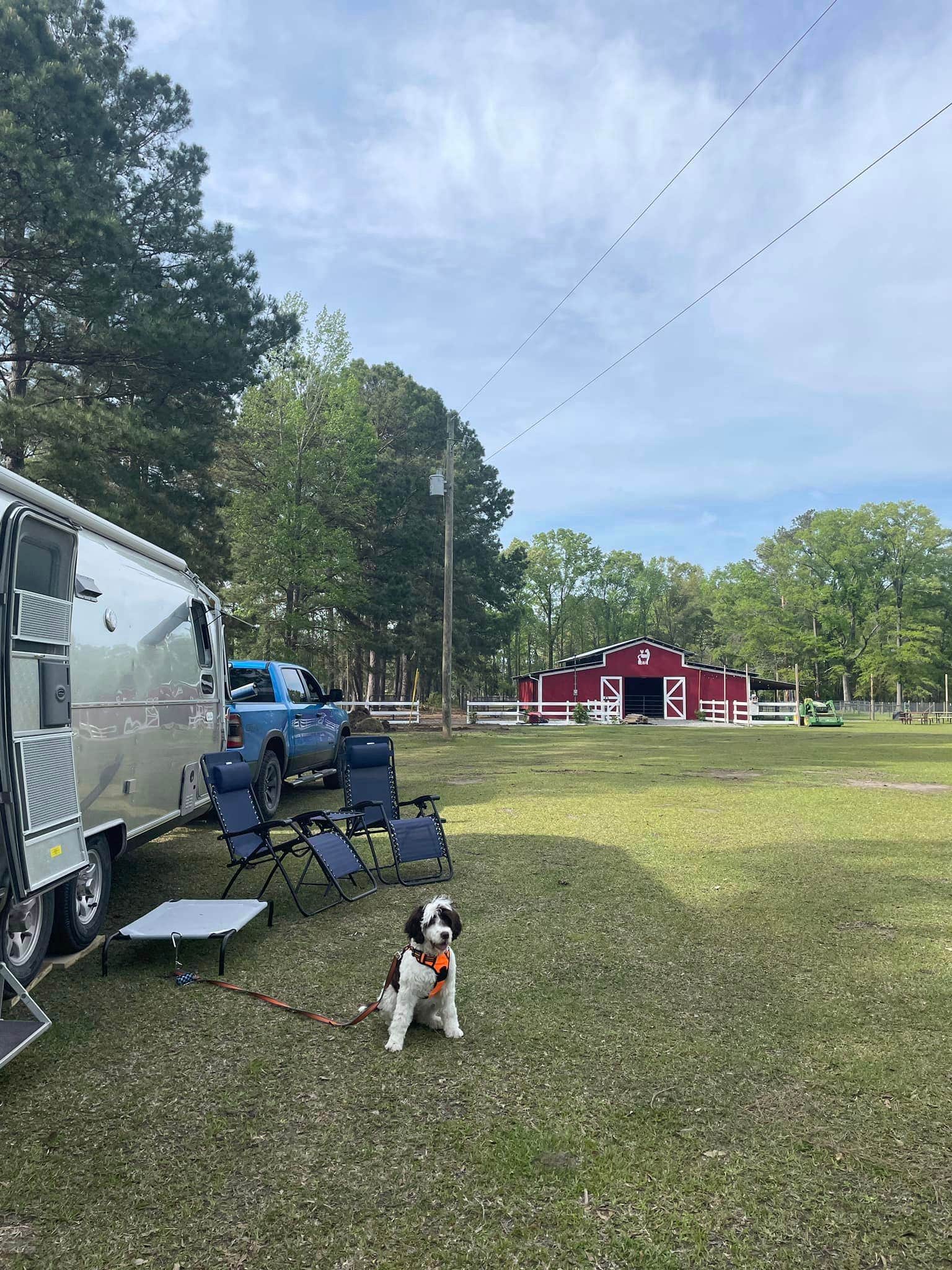 Camper-submitted photo at Herd it Here Farm near Round O, SC