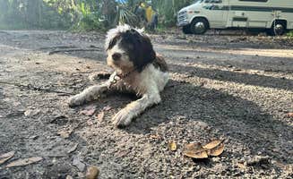 Eleanor the Airstream R.'s photo of camping with pets at Kathryn Abbey Hanna Park near Jacksonville, FL