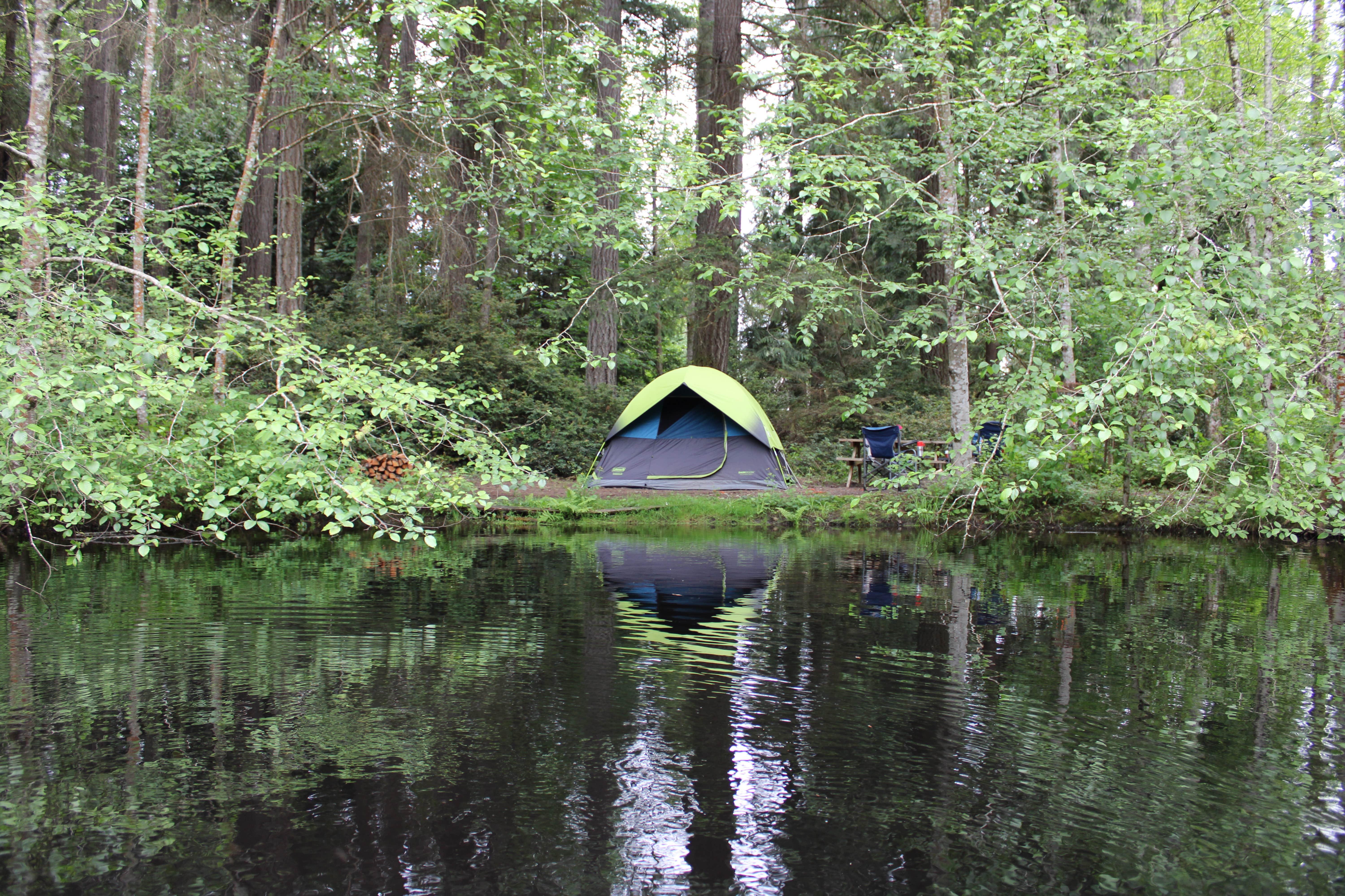Denise C.'s photo at Courter Country Farm near Port Ludlow, WA