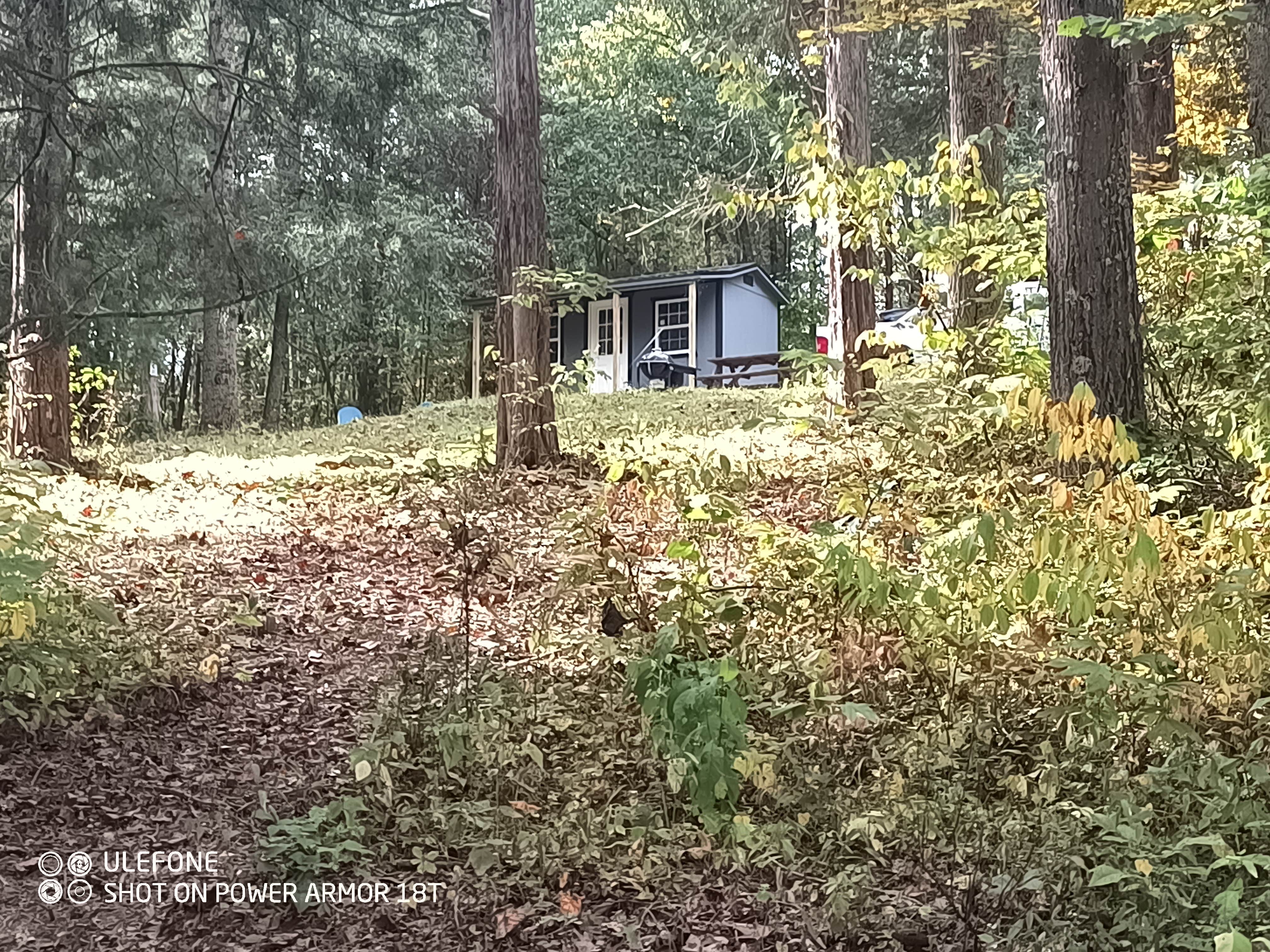 Camper-submitted photo at Bear Pond West Union near West Union, OH