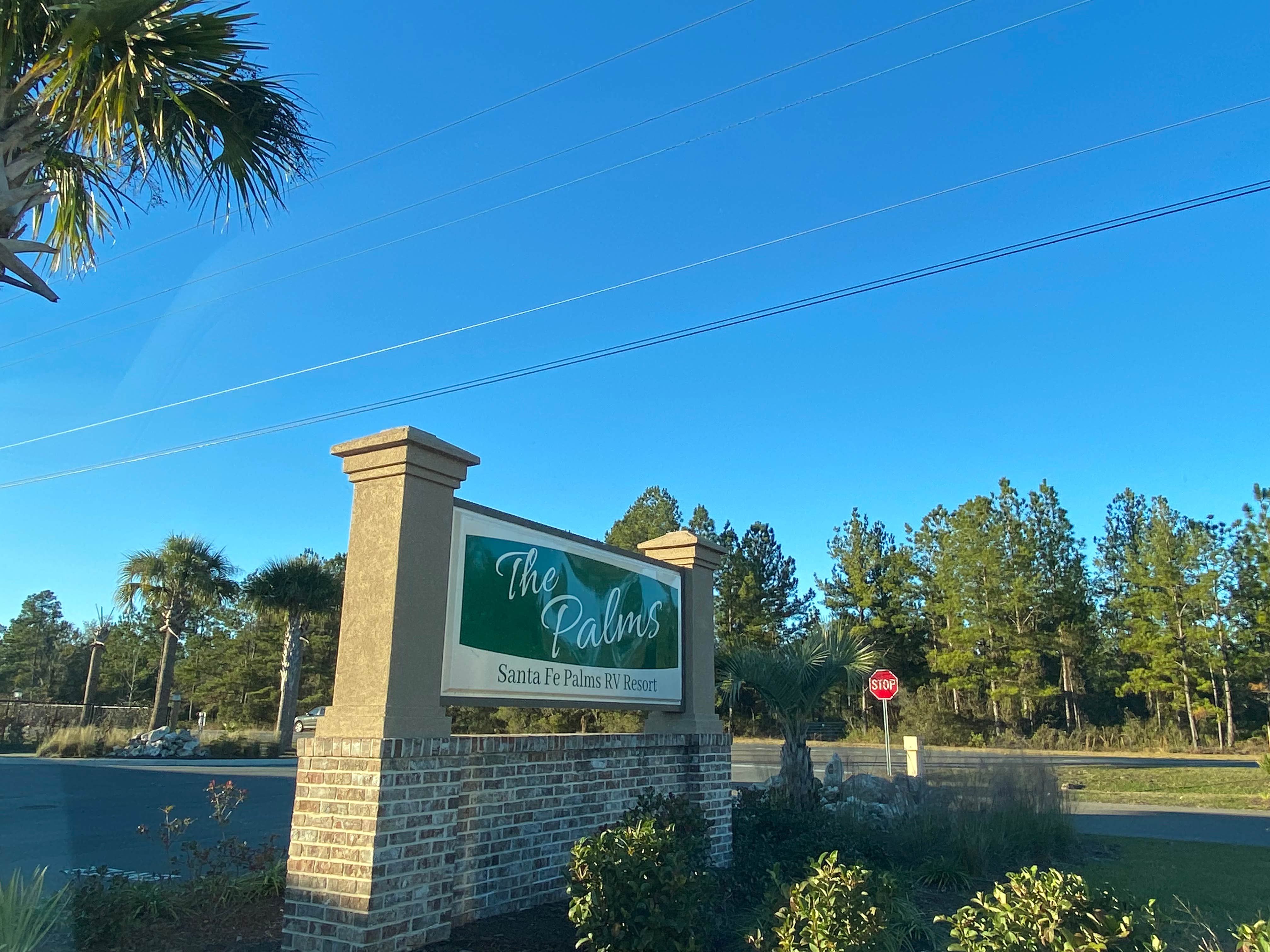 Camper submitted image from Santa Fe Palms RV Resort - 4