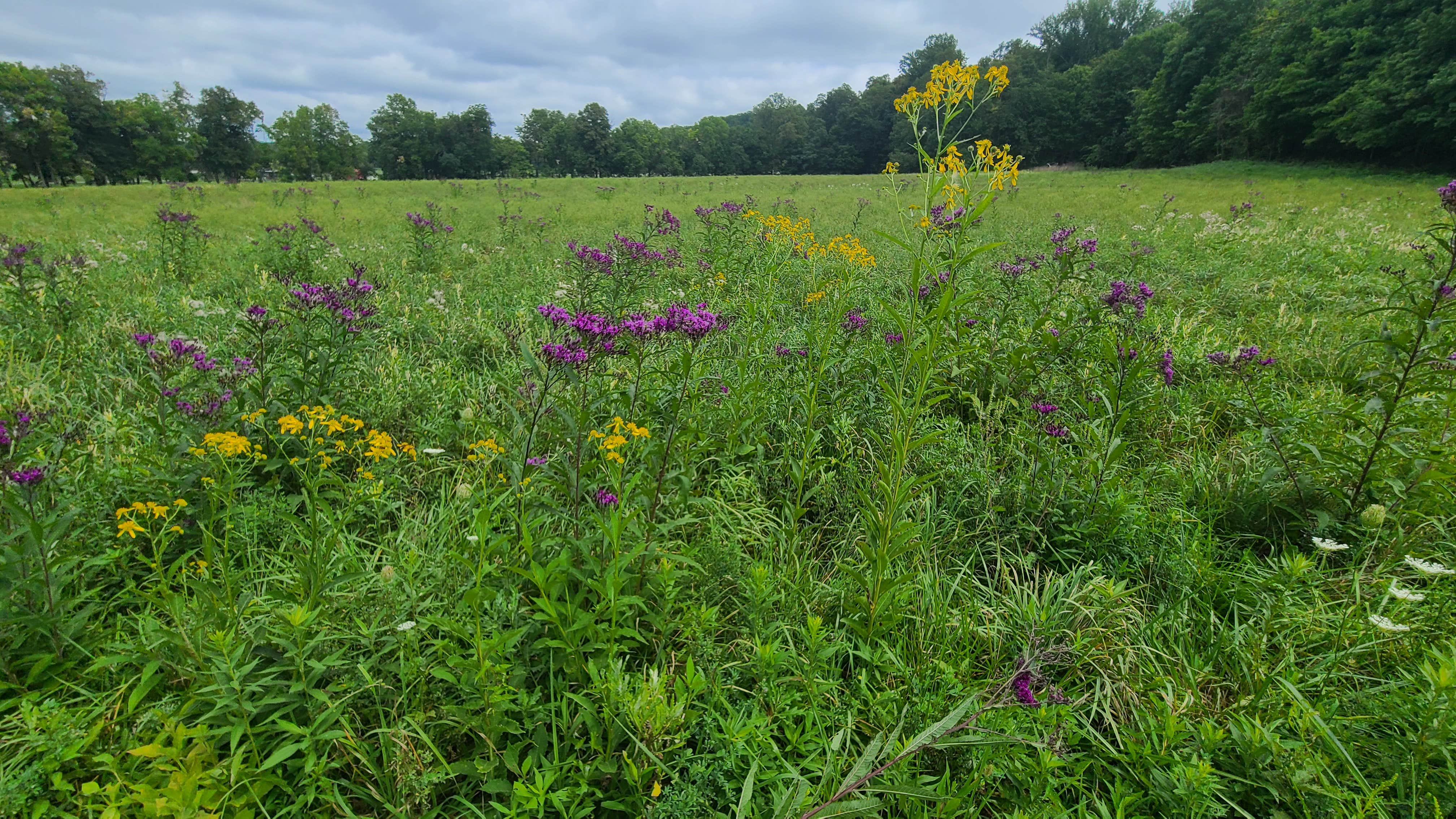 Camper-submitted photo at Camp Mahanaim near Richmond, IN