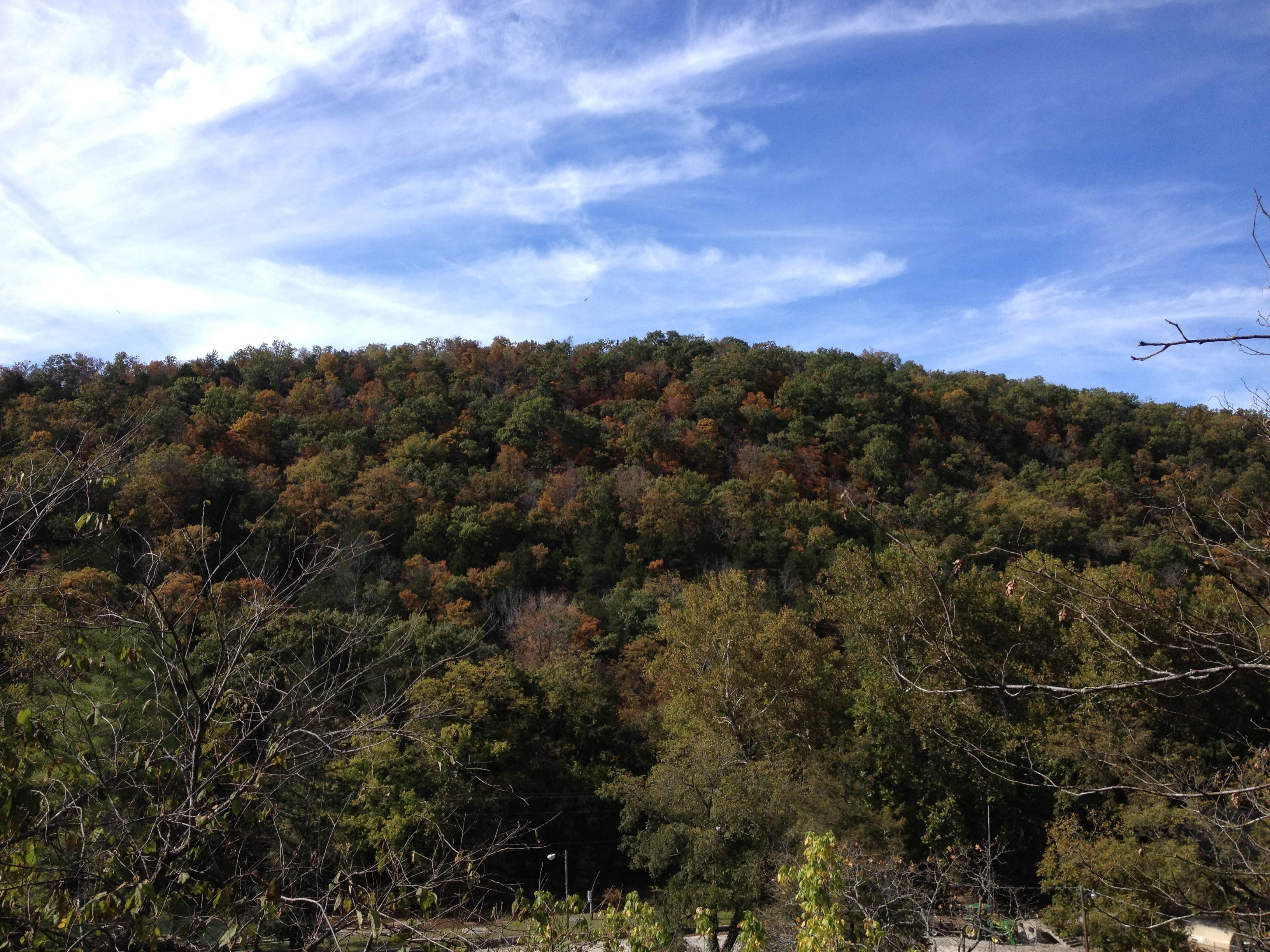 Camper-submitted photo at Sequoyah State Park - Marina and Cabins near Park Hill, OK