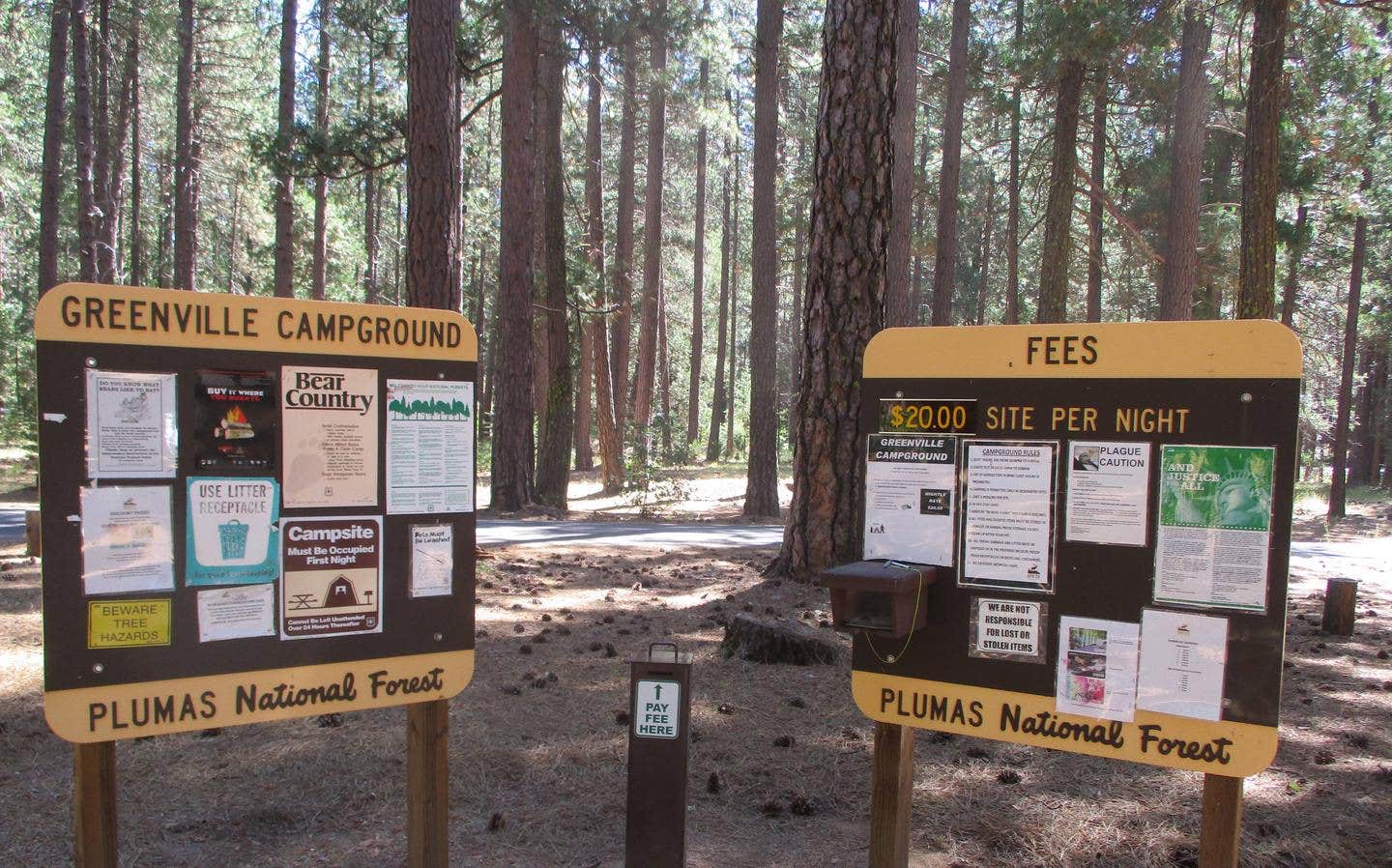Camper submitted image from Greenville Campground — Plumas National Forest - 1