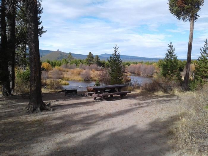 Camper submitted image from East Davis Campground - 3