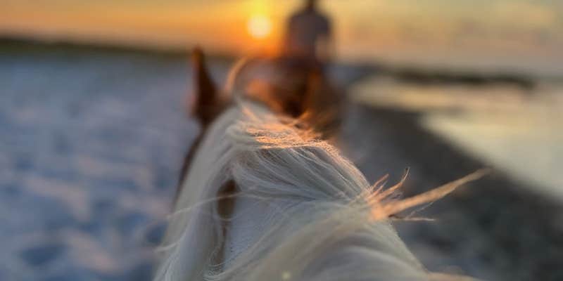 Camper submitted image from Cedar Island Ranch