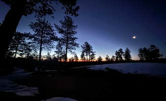 Doc P.'s photo of a dispersed camping area at Beaver Creek Road near Parker, CO