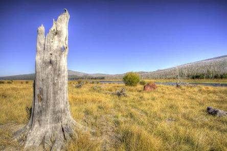 East Davis Campground



Credit: