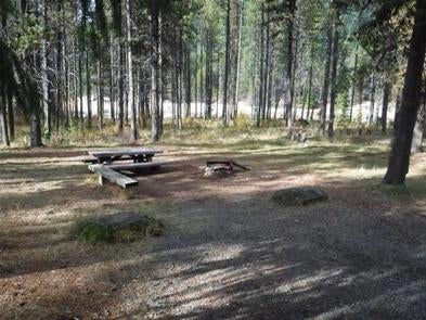 Camper submitted image from East Lemolo Campground - 1