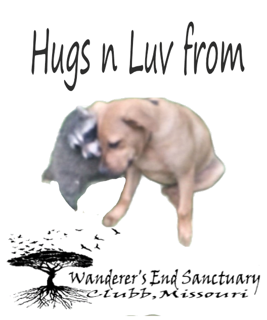 Camper-submitted photo at Wanderers End Sanctuary Forest Farm near Puxico, MO