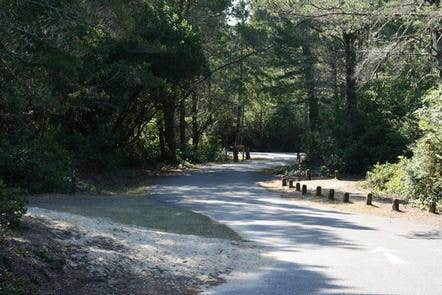 Camper submitted image from Eel Creek Campground - 3