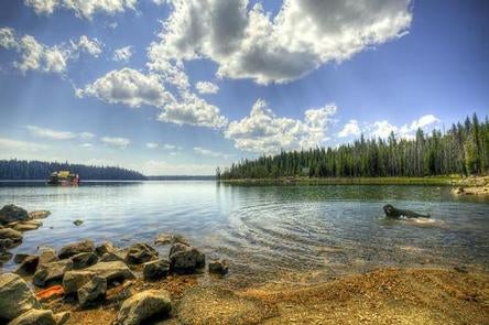 Camper submitted image from Elk Lake Campground - 5