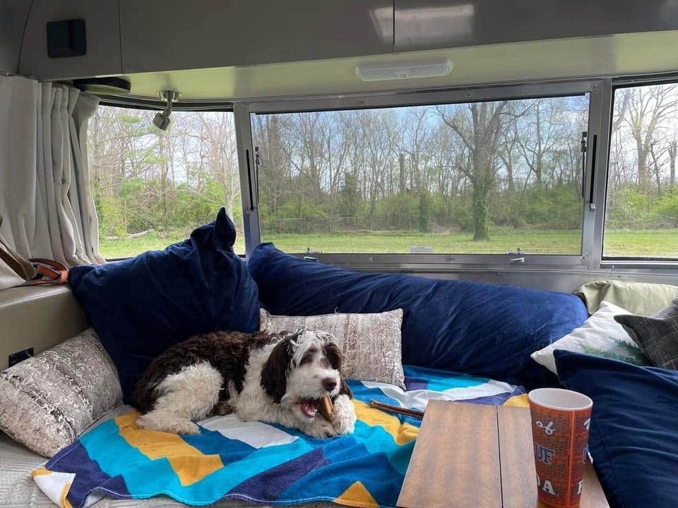 Eleanor the Airstream R.'s photo of camping with pets at Kentucky Horse Park Campground near Williamstown, KY