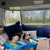 Review photo of Kentucky Horse Park Campground by Eleanor the Airstream R., April 7, 2024