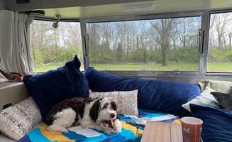 Eleanor the Airstream R.'s photo of camping with pets at Kentucky Horse Park Campground near Lexington, KY