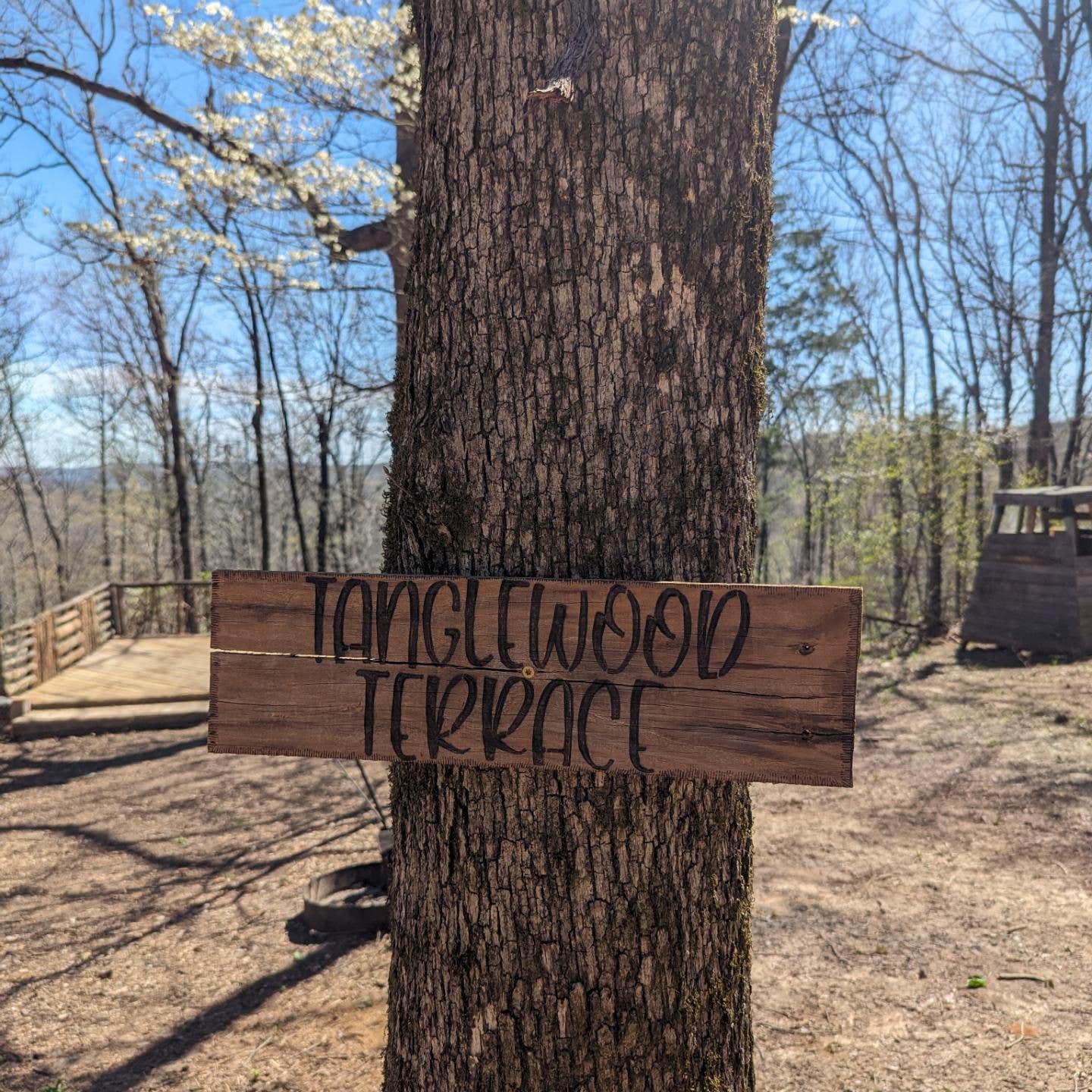 Camper-submitted photo at Miracle Mountain Homestead near Greenland, AR