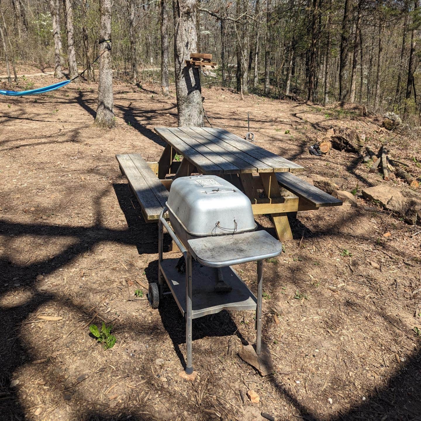 Camper-submitted photo at Miracle Mountain Homestead near Greenland, AR