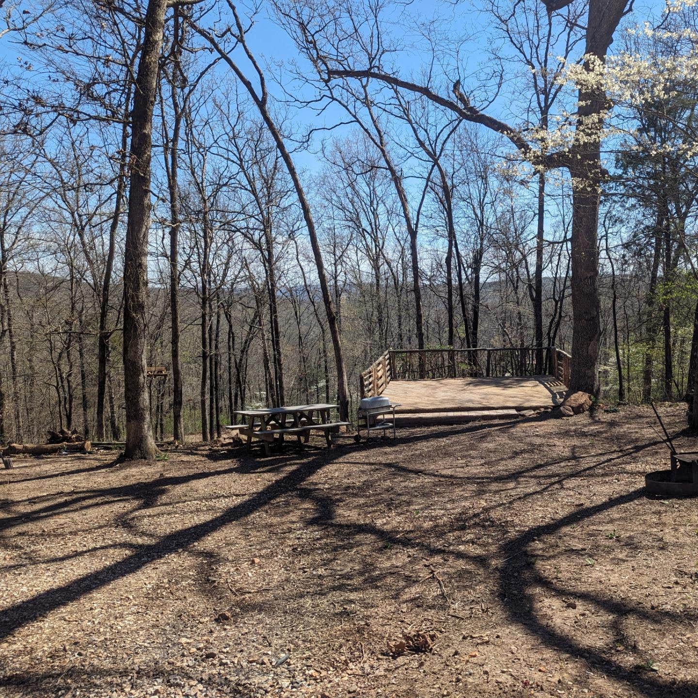 Camper-submitted photo at Miracle Mountain Homestead near Greenland, AR