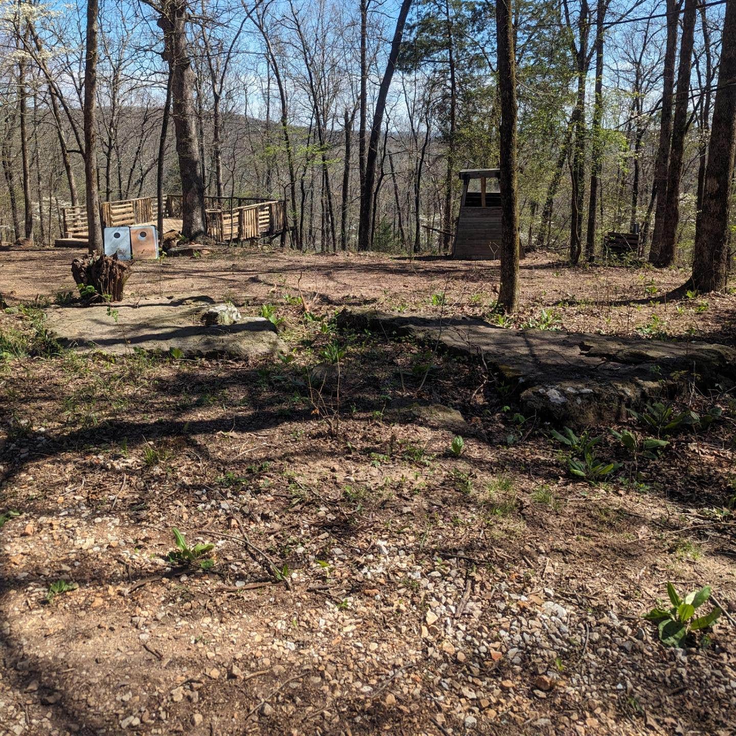 Camper-submitted photo at Miracle Mountain Homestead near Greenland, AR