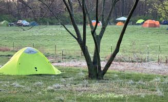 Kelly C.'s photo at Harmony Hill Acres near Carlyle Lake