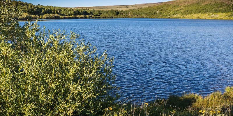 Camper submitted image from Fish Lake Campground