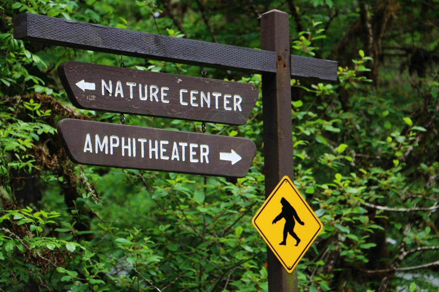 Camper-submitted photo at Fishermens Bend - TEMPORARILY CLOSED TO CAMPING near Sublimity, OR