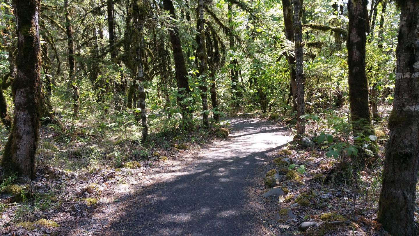 Camper-submitted photo at Fishermens Bend - TEMPORARILY CLOSED TO CAMPING near Sublimity, OR