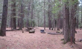 Camping near Willow Lake Resort: Fourbit Ford Campground, Butte Falls, Oregon