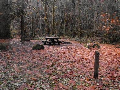 Camper submitted image from French Pete Campground - 3
