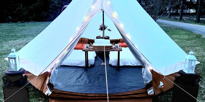 Camper submitted image from Freedom Farm Homestead