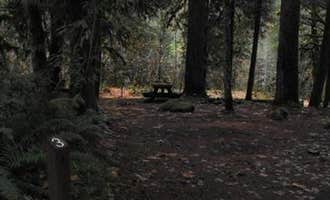 Camping near Indian Ridge Lookout: French Pete Campground, Mckenzie Bridge, Oregon