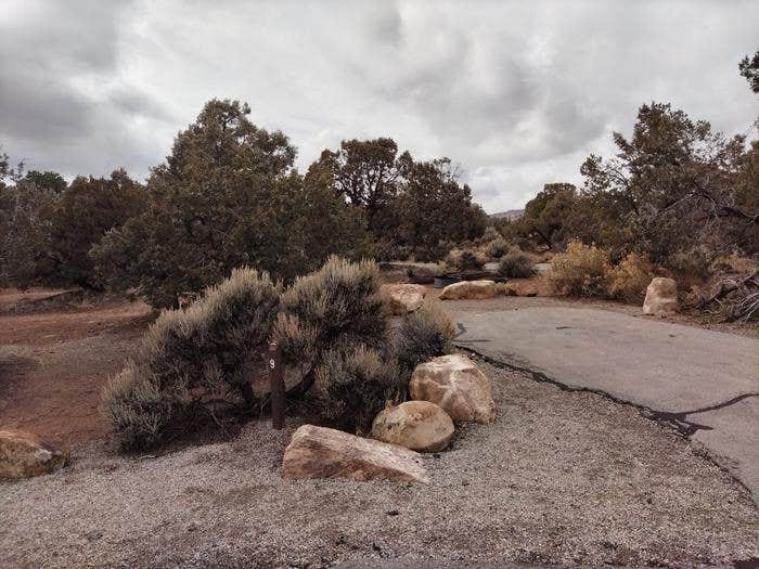 Camper submitted image from Natural Bridges Campground - 4