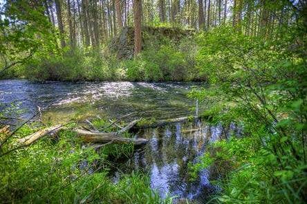 Nature