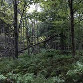 Review photo of Presque Isle - Porcupine Mountains State Park by Matt S., September 13, 2016