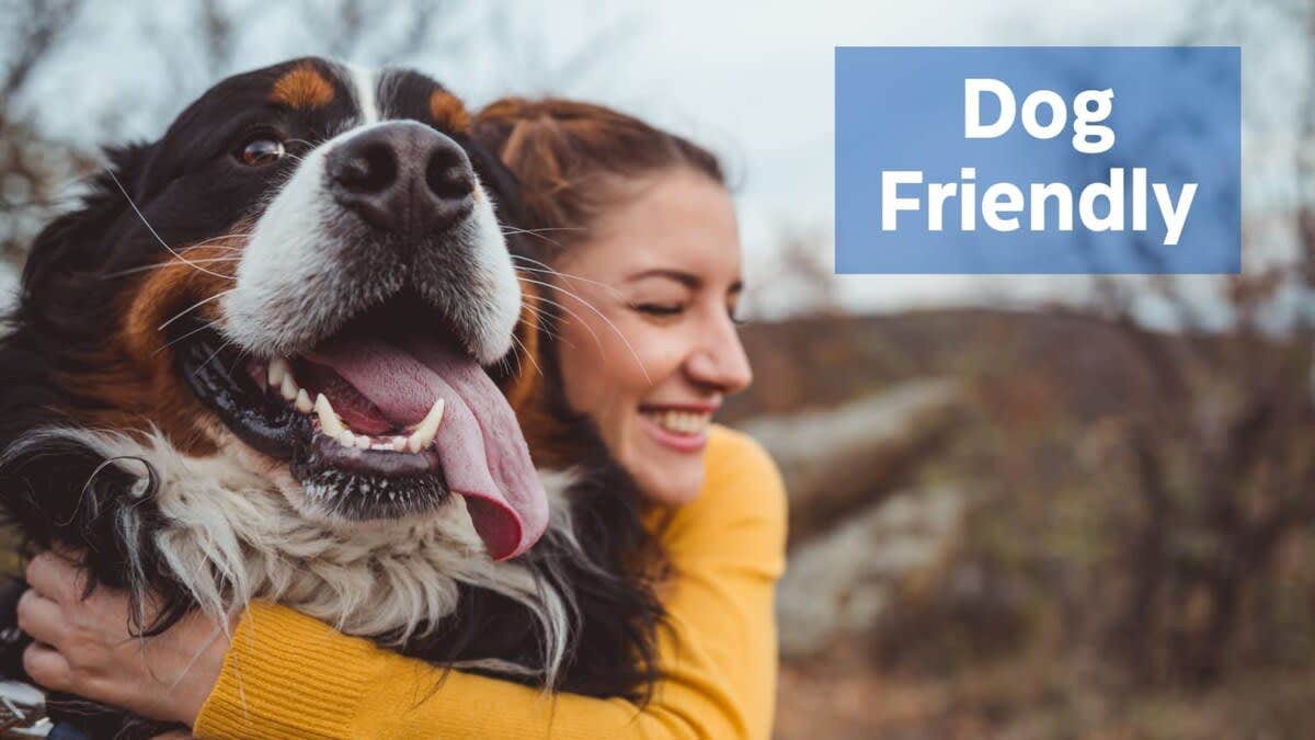 The Dyrt's photo of camping with pets at Modern Chalet w Hot Tub, Large Deck, Grill & WiFi near Chesapeake and Ohio Canal National Historical Park