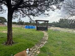 Camper-submitted photo at Naughty Oaks Farm near Copperas Cove, TX