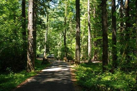 Camper submitted image from Hoover Campground - 1