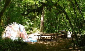 Camping near Detroit Ranger District (US Highway 22): Hoover Campground, Idanha, Oregon