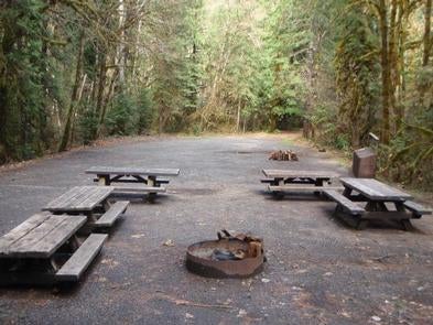 Five picnic tables close to a campfire ring in front of a large, flat open area encircled by forest.



Horse creek group campground

Credit: USFS