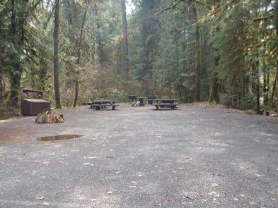 Camper submitted image from Horse Creek Group Campground - 5