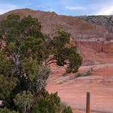 Review photo of Mesquite Campground — Palo Duro Canyon State Park by Marianne M., April 11, 2024