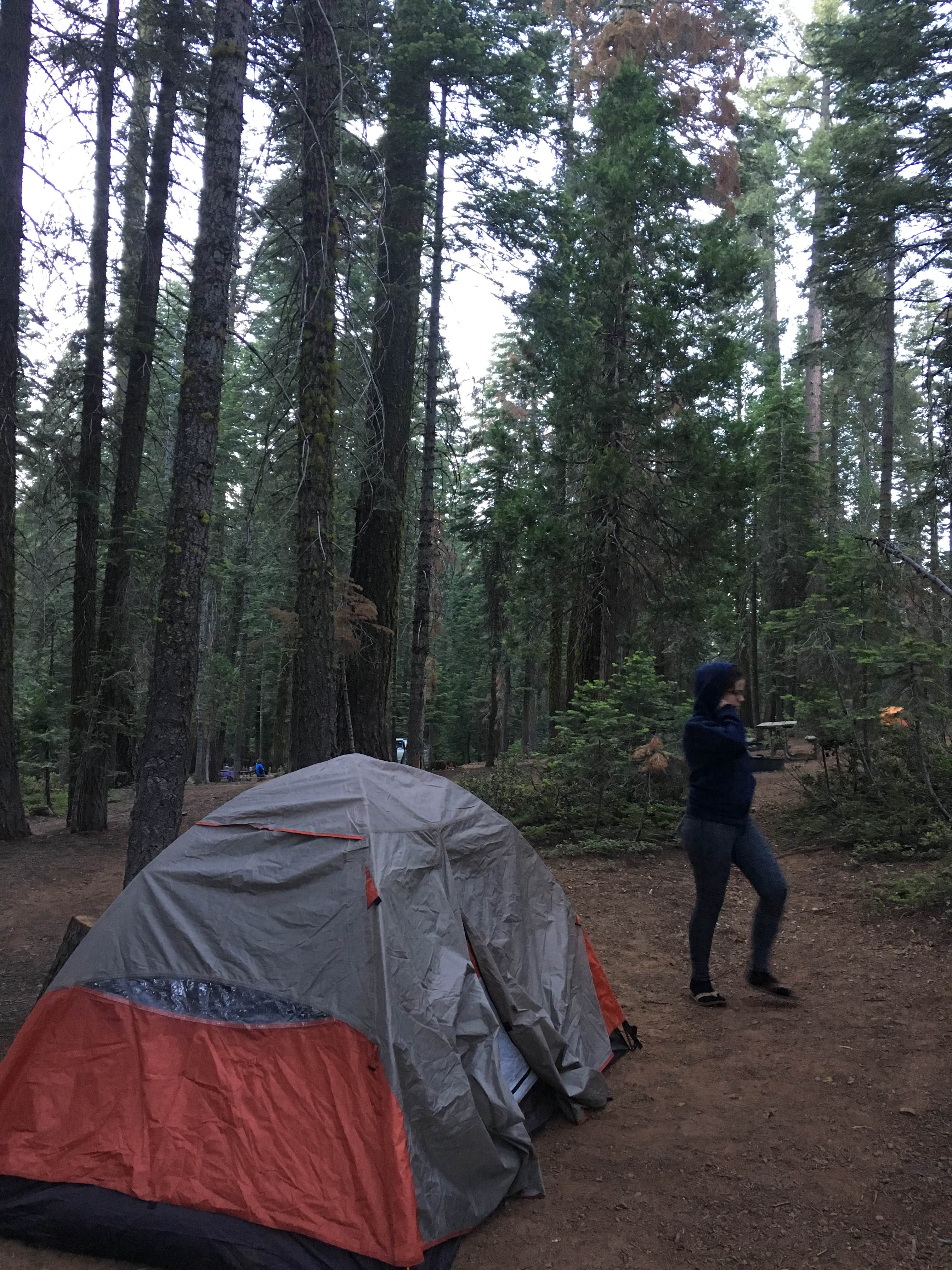 Camper submitted image from Crane Flat Campground — Yosemite National Park - 4