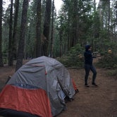 Review photo of Crane Flat Campground — Yosemite National Park by Kathleen L., September 13, 2016