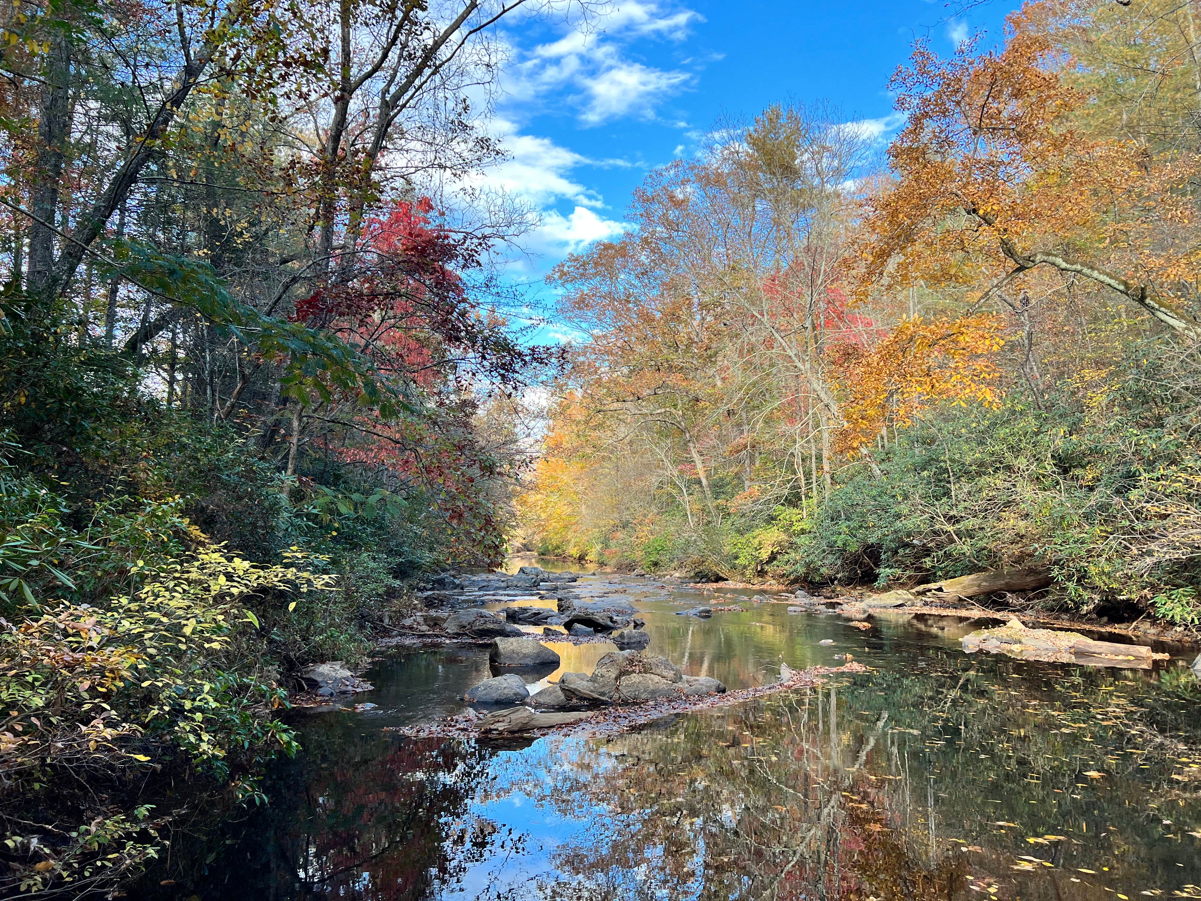 Camping near RocknRose Horses and Hospitality: The River Camp, Valdese, North Carolina