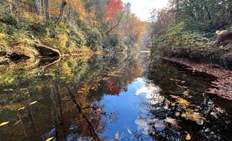 Jenny S.'s photo of camping with pets at The River Camp near Granite Falls, NC