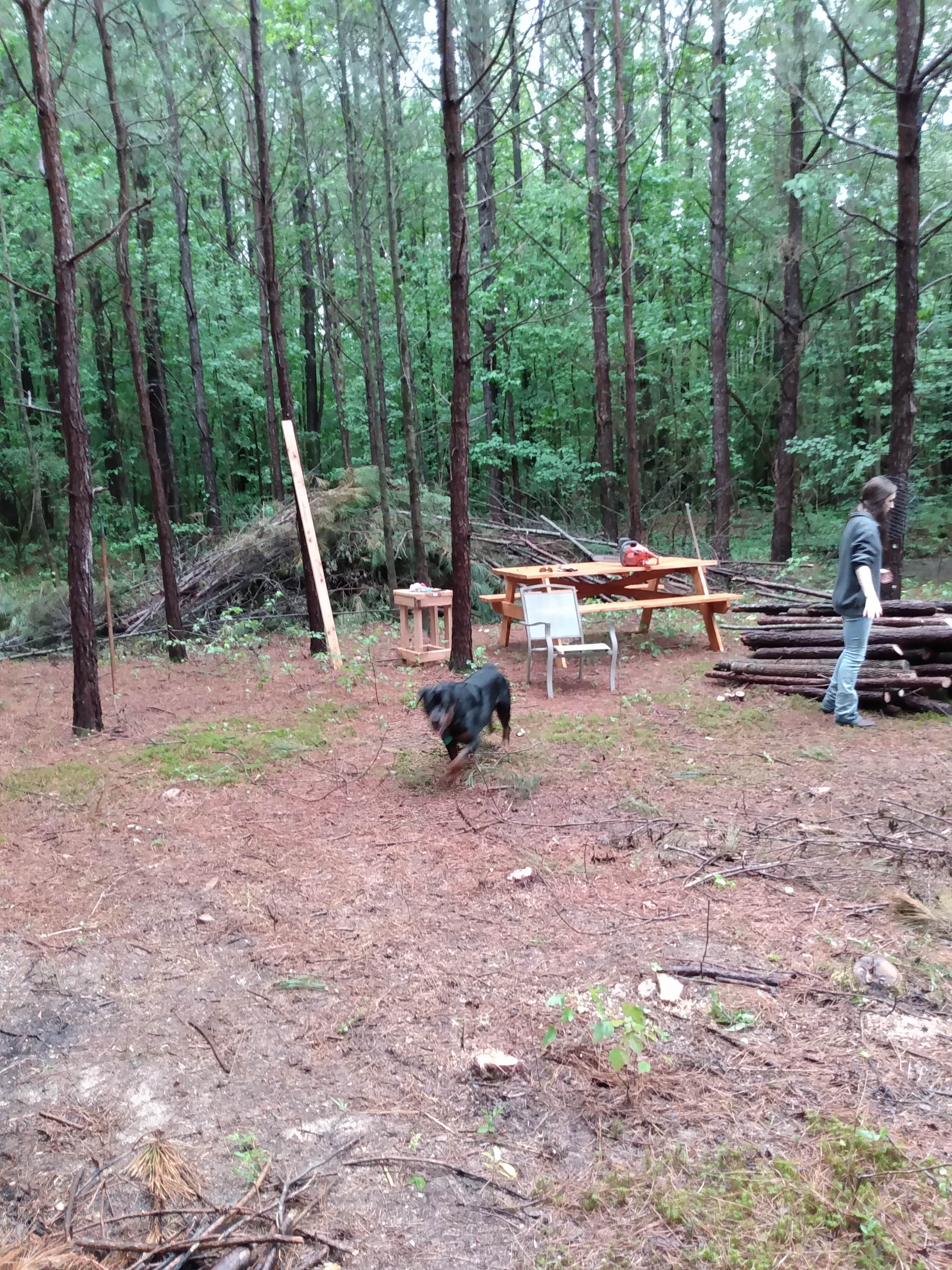 Stan D.'s photo at Somerville Park near Cullman, AL