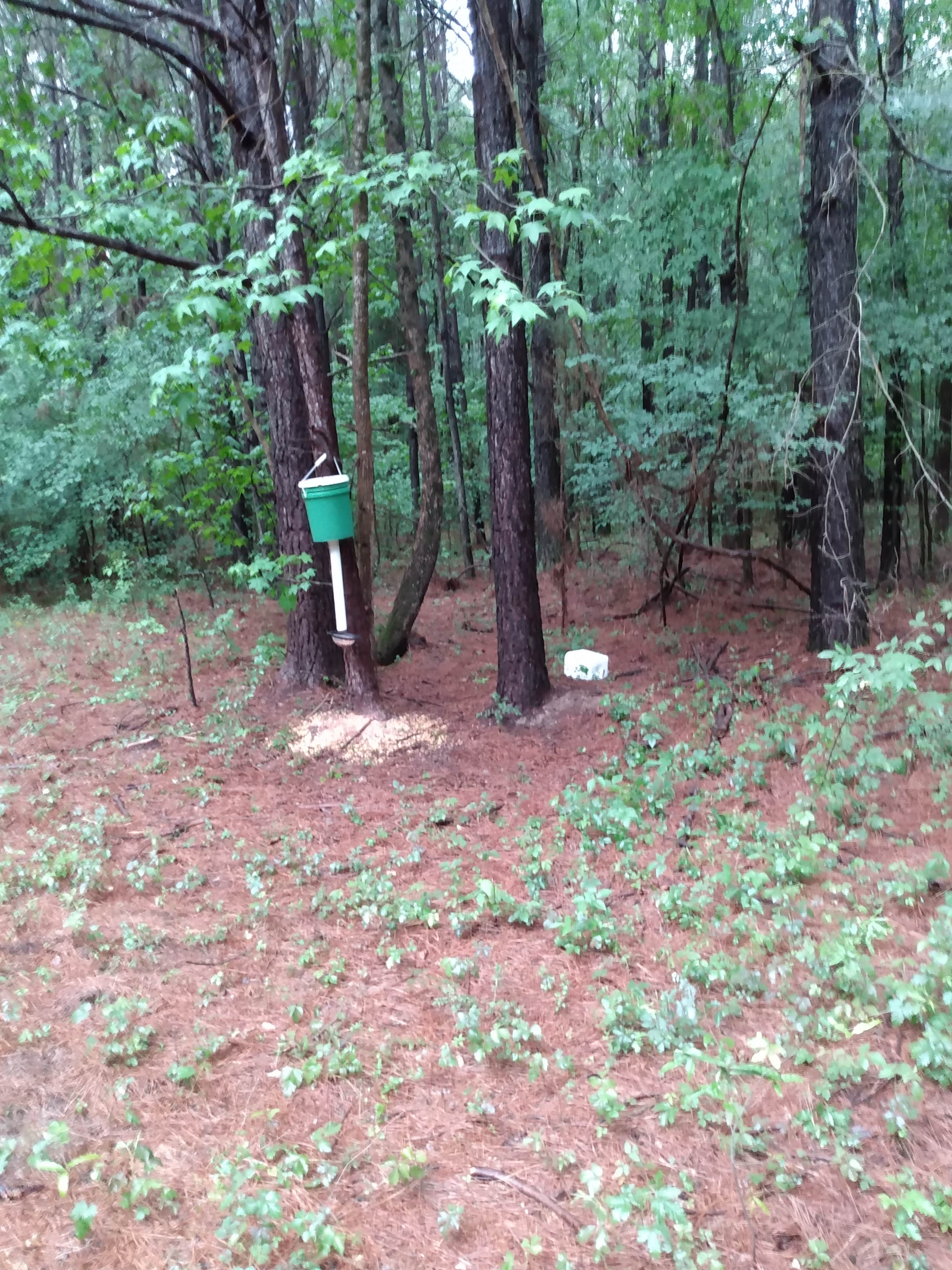 Somerville Park Camping Falkville, AL